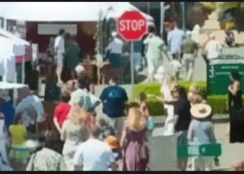 Past El Dorado Hills Art Beer & Wine Festival