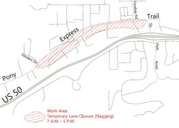 Tree removals between Sanders Drive and Sly Park Road