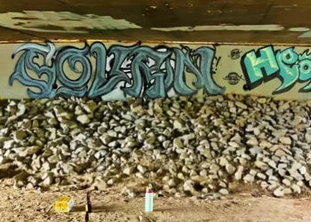 Arrested and charged with vandalism at SLT