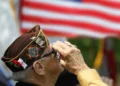 Veteran Salute photo