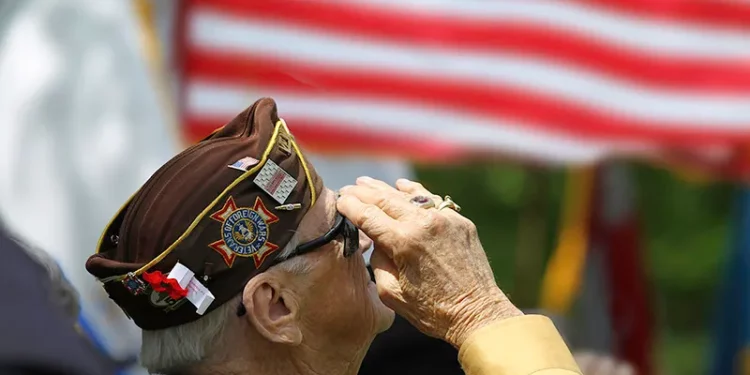 Veteran Salute photo