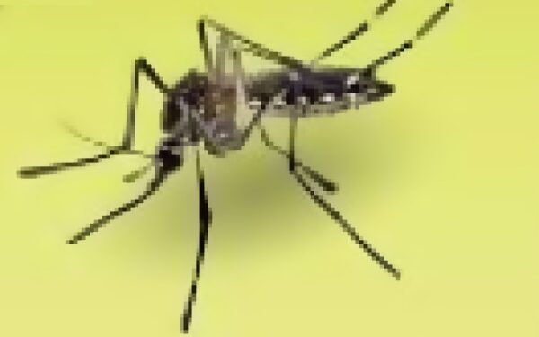 West Nile Virus Death
