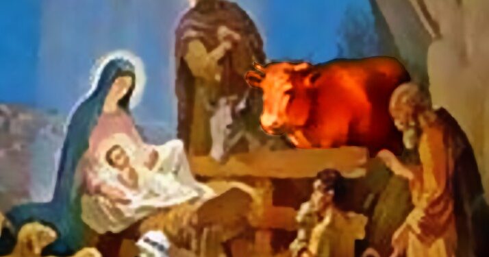 Editorial: Symbolism of the Ox in ‘The Little Drummer Boy’ – A Lesson in Service to Others