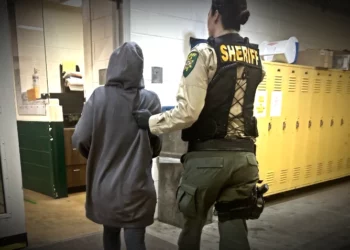 Target Theft Unveils Local Crime Spree: Seasoned Offender Apprehended