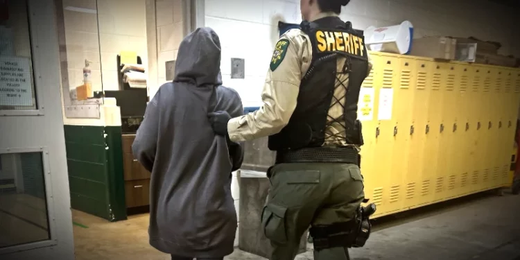 Target Theft Unveils Local Crime Spree: Seasoned Offender Apprehended