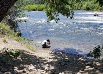 Henningsen Lotus Park