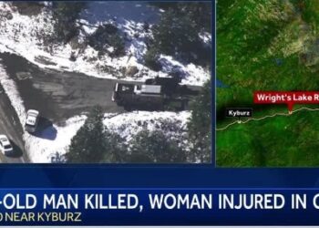 Tragic Fatality Temporarily Shuts Down Highway 50 near Kyburz