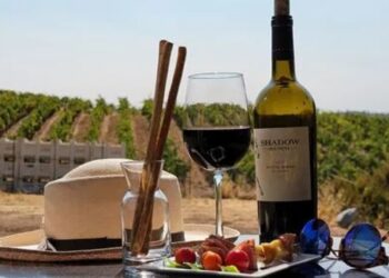Passport Weekend Toasts 33 Years in 2024 With Over 20 Wineries