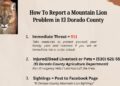 New Protocols for Reporting Mountain Lion Encounters in El Dorado County