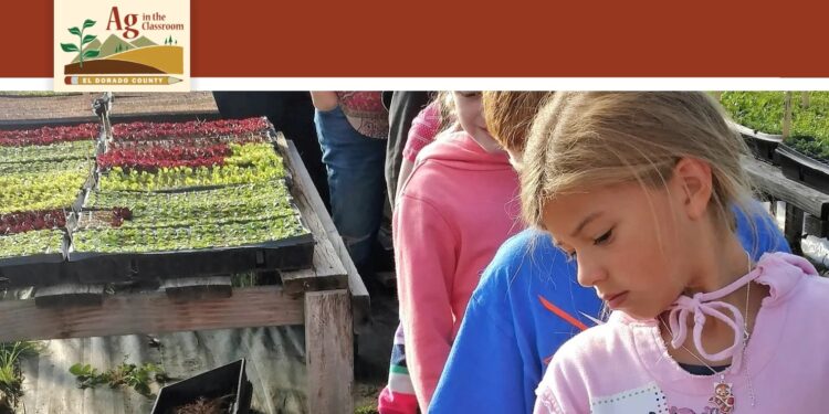 Teaching a Growing Generation: Elevating Agricultural Awareness in El Dorado County